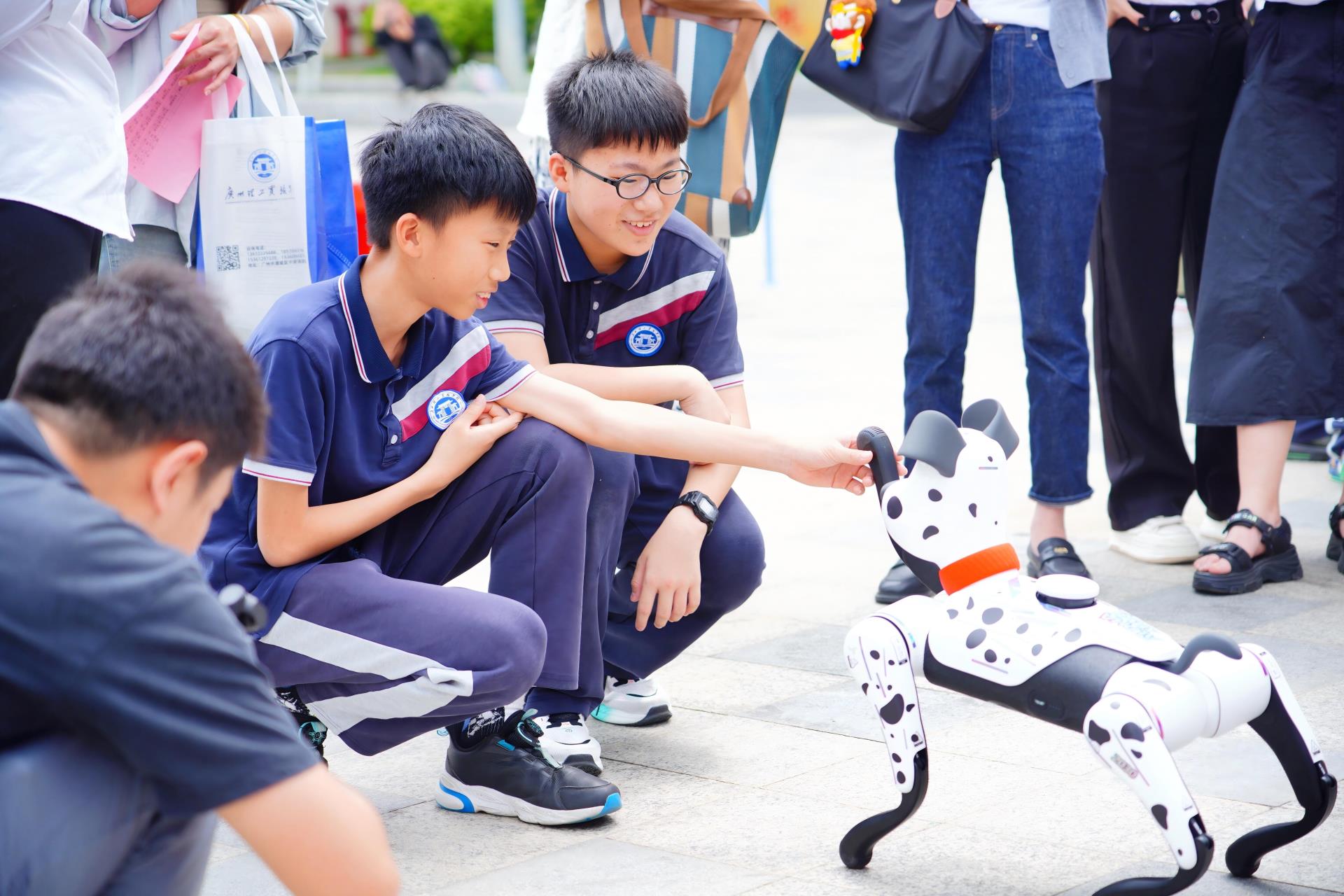 信息科技课程.jpg 信息科技课程.jpg